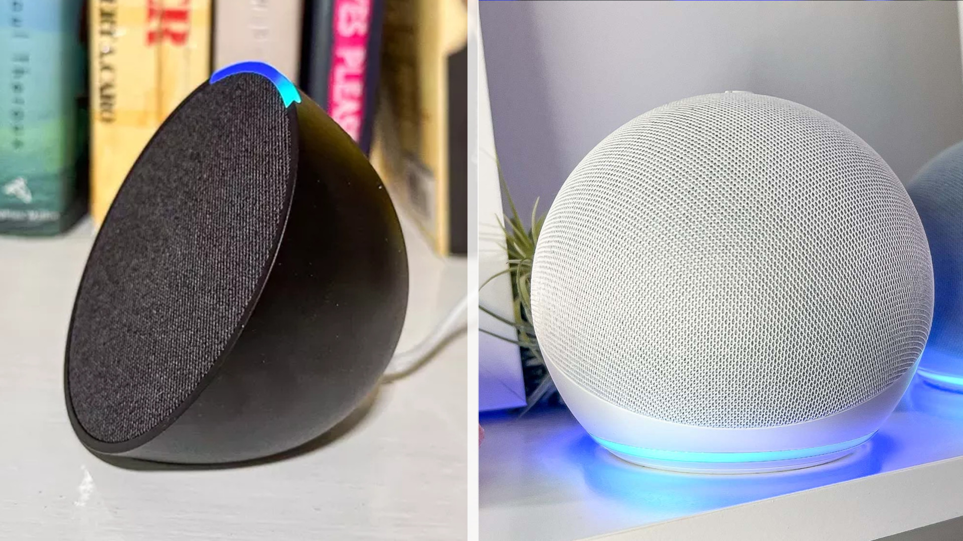 amazon echo pop vs echo dot